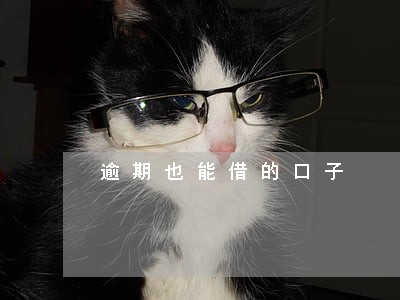 逾期也能借的口子