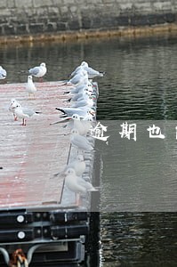 逾期也能借钱的小额借款 逾期也能借钱的小额借款