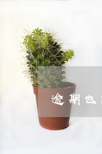 逾期也能借钱的平台 逾期也能借钱的平台
