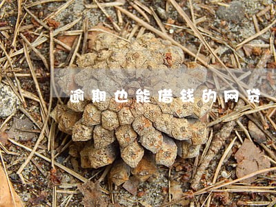 逾期也能借钱的网贷 逾期也能借钱的网贷