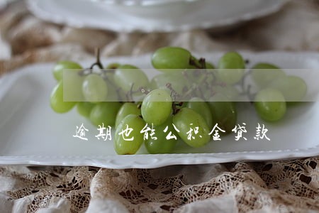 逾期也能公积金贷款 逾期也能公积金贷款