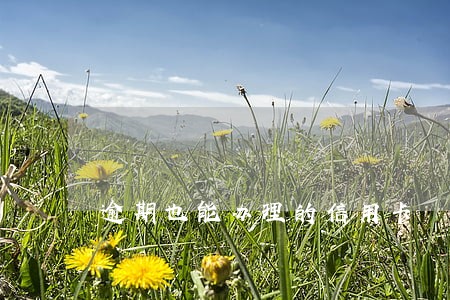 逾期也能办理的信用卡 逾期也能办理的信用卡