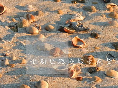 逾期也能办的长期贷款吗