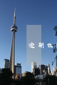 逾期也能放款的口子 逾期也能放款的口子