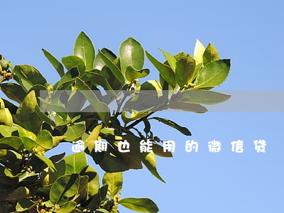 逾期也能用的微信贷 逾期也能用的微信贷
