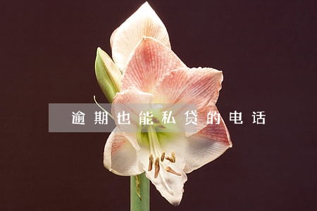 逾期也能私贷的电话 逾期也能私贷的电话