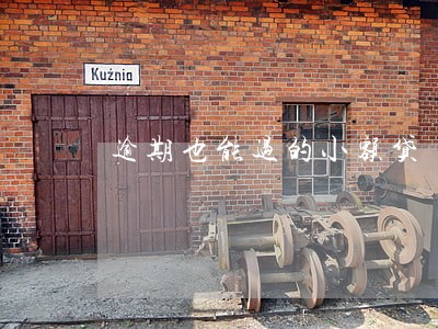 逾期也能过的小额贷 逾期也能过的小额贷