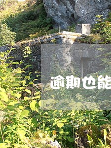 逾期也能还信用卡的代还软件 逾期也能还信用卡的代还软件