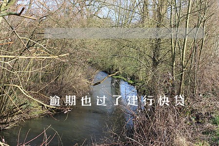 逾期也过了建行快贷 逾期也过了建行快贷