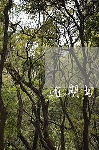 逾期书记联系 逾期书记联系
