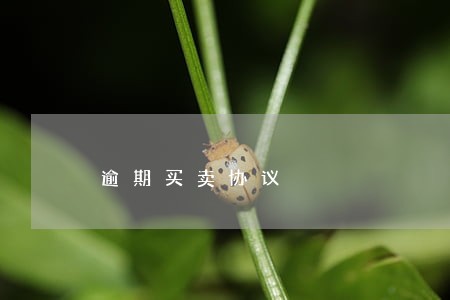 逾期买卖协议