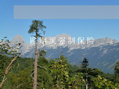 逾期买强制保险 逾期买强制保险