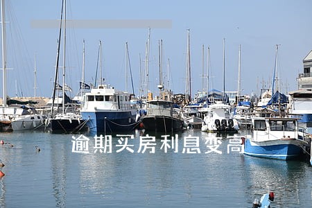 逾期买房利息变高 逾期买房利息变高