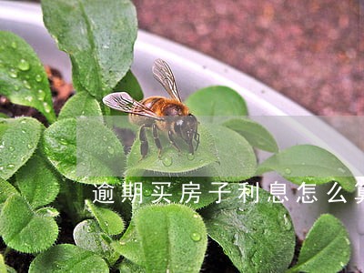 逾期买房子利息怎么算的 逾期买房子利息怎么算的