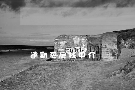 逾期买房找中介 逾期买房找中介