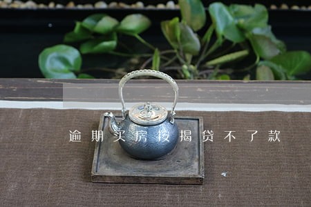 逾期买房按揭贷不了款