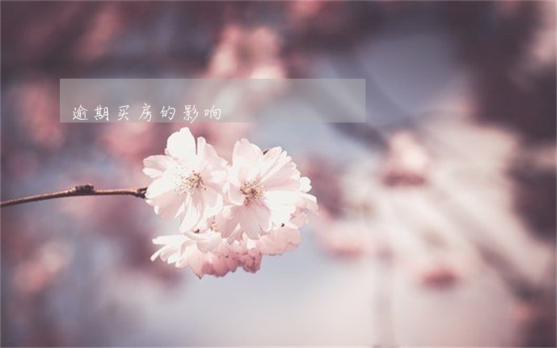 逾期买房的影响 逾期买房的影响