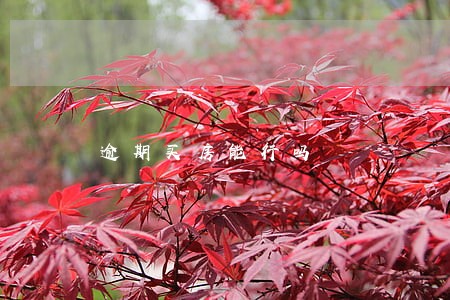 逾期买房能行吗 逾期买房能行吗