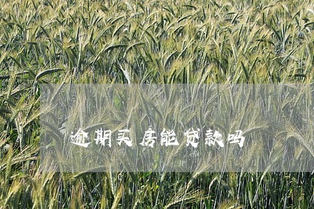 逾期买房能贷款吗 逾期买房能贷款吗