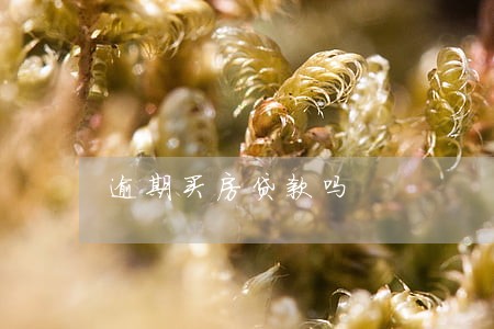 逾期买房贷款吗 逾期买房贷款吗