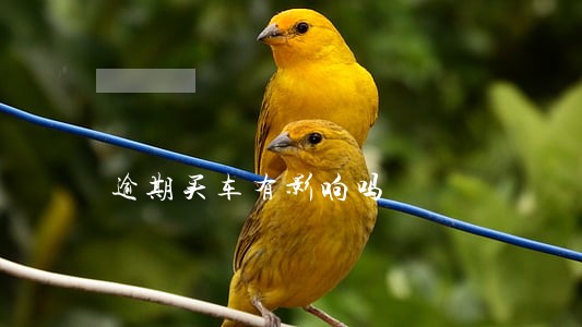 逾期买车有影响吗 逾期买车有影响吗