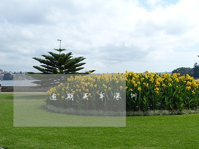 逾期买车深圳 逾期买车深圳