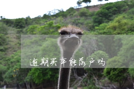 逾期买车能落户吗