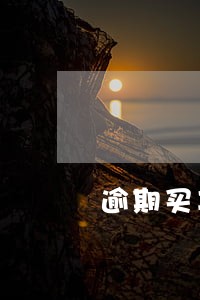 逾期买车能通过吗