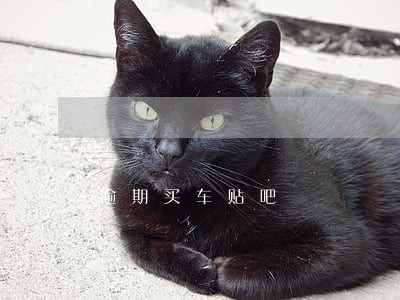 逾期买车贴吧 逾期买车贴吧