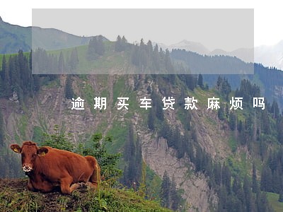 逾期买车贷款麻烦吗 逾期买车贷款麻烦吗