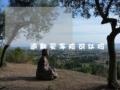 逾期买车险可以吗 逾期买车险可以吗