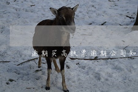 逾期买高铁票逾期公司知不知道 逾期买高铁票逾期公司知不知道