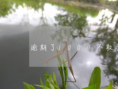 逾期了1000不敢和家人说 逾期了1000不敢和家人说