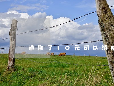 逾期了10元可以消除吗