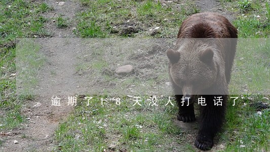 逾期了18天没人打电话了 逾期了18天没人打电话了