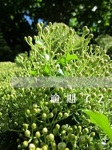 逾期了2个月会上门吗 逾期了2个月会上门吗