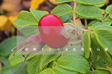 逾期了2个月还清可以解冻吗 逾期了2个月还清可以解冻吗