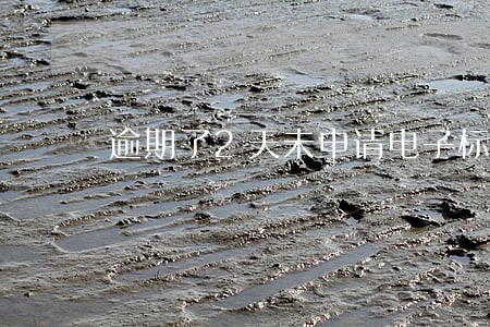 逾期了2天未申请电子标志 逾期了2天未申请电子标志