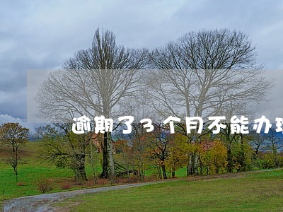 逾期了3个月不能办理分期