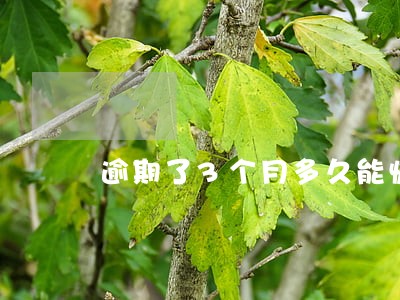 逾期了3个月多久能恢复 逾期了3个月多久能恢复