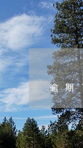逾期了3个网贷还能贷款的 逾期了3个网贷还能贷款的