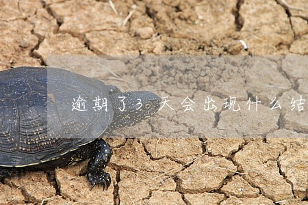 逾期了3天会出现什么结果 逾期了3天会出现什么结果