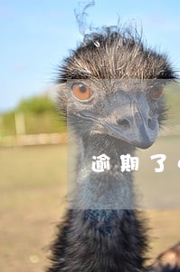逾期了4个月了 逾期了4个月了