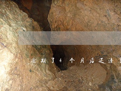 逾期了4个月后还清了 逾期了4个月后还清了