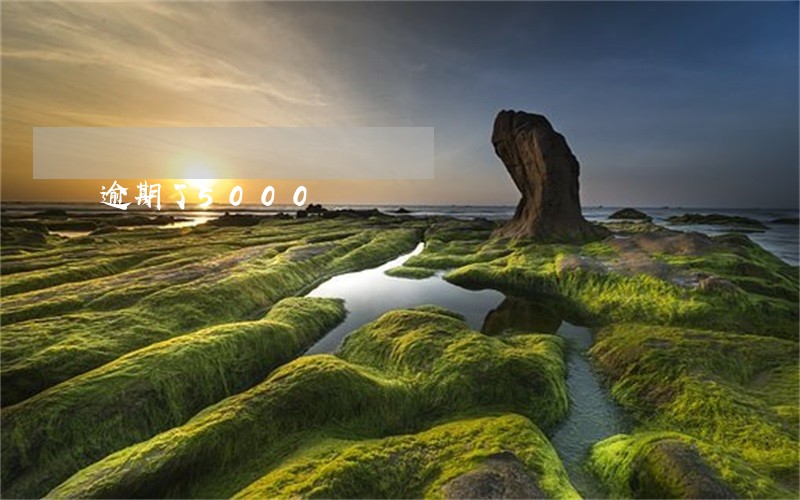 逾期了5000 逾期了5000