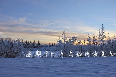 逾期了5个月如何恢复征信 逾期了5个月如何恢复征信