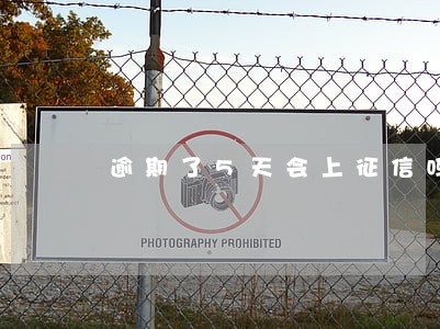 逾期了5天会上征信吗 逾期了5天会上征信吗