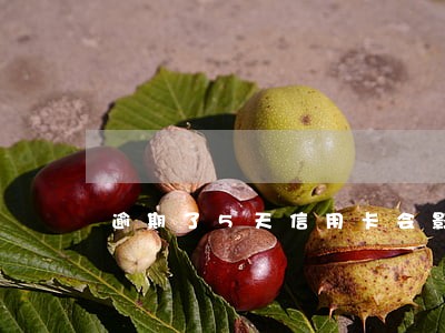 逾期了5天信用卡会影响 逾期了5天信用卡会影响