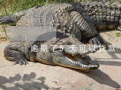 逾期了5天可以贷款 逾期了5天可以贷款