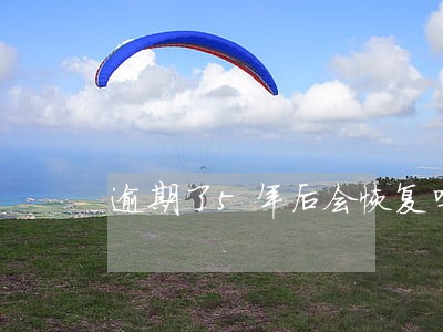 逾期了5年后会恢复吗 逾期了5年后会恢复吗